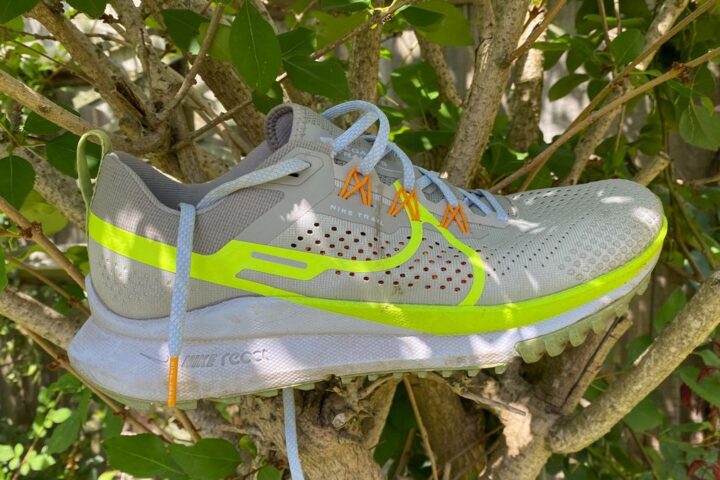 Nike Pegasus Trail 4